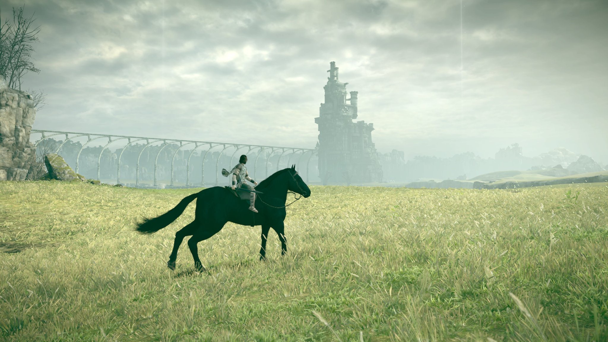 Colossus 2018 Open fields